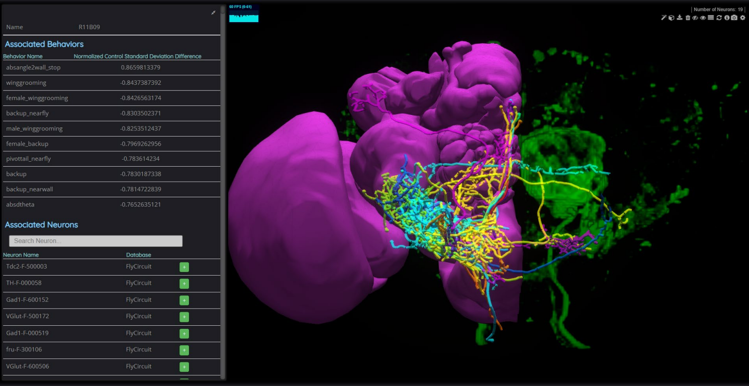 NeuroNLP.FlyCircuit Gene Match